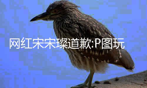 爱曝与凡恋P图网红玩梗吴亦歉前自璨道 此宋宋