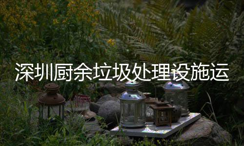 管理规范运行厨余处理解读垃圾深圳设施