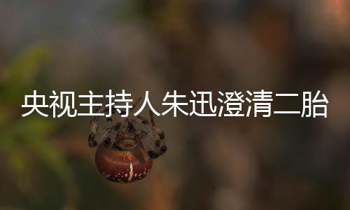迅澄人朱麦包那是主持胎传闻清二央视