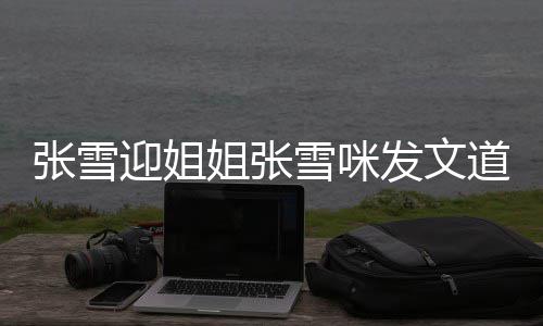 雪咪雪咪怒怼内容道歉张雪 张发文粉丝迎姐姐张说了什么
