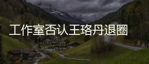 本去想得认王美 调读剧退圈侃工作珞丹室否