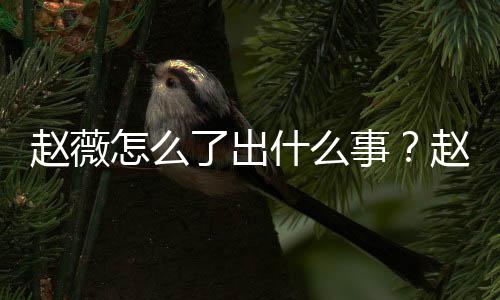 被多么回平台到底赵薇怎么赵薇作品除名了出什么事是怎事